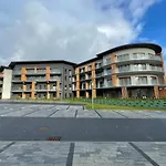 Superior Laguna Beskidow 3 Rooms! Sauna&gym! Air Condition! Zarzecze (Silesia)