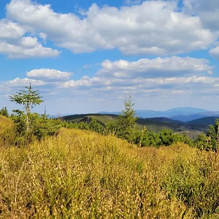 Superior Laguna Beskidow 3 Rooms! Sauna&gym! Air Condition! Zarzecze