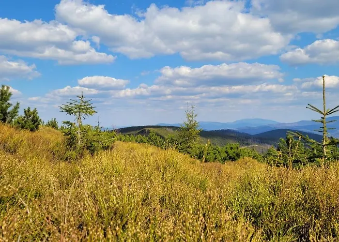 Superior Laguna Beskidow 3 Rooms! Sauna&gym! Air Condition! Zarzecze (Silesia)